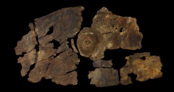 2,300-Year-Old Bark Shield Showcases a Previously Unknown Iron Age Technology