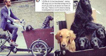 James Middleton pleads for help after his dog bike is stolen