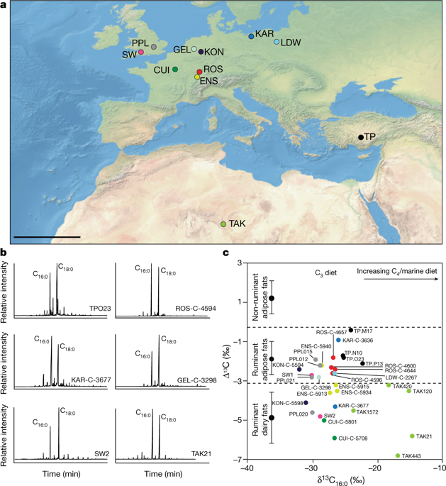 Accurate compound-specific 14 C dating of archaeological pottery vessels