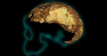 This Tiny Skull Cap Is Rocking What We Know About an Ancient Human Species