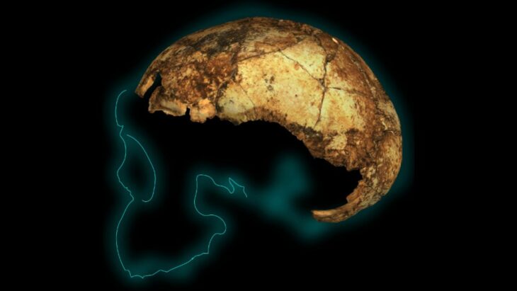 This Tiny Skull Cap Is Rocking What We Know About an Ancient Human Species