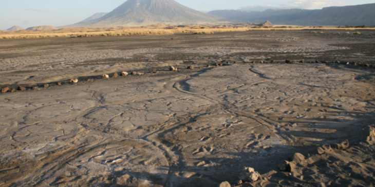 Footprints record a snapshot of life in ancient Tanzania