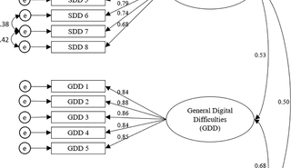 Development and psychometric properties of the Digital Difficulties Scale (DDS): An instrument to measure who is disadvantaged to fulfill basic needs by experiencing difficulties in using a smartphone or computer