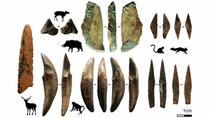 Archery Could Date Back 48,000 Years in South Asia