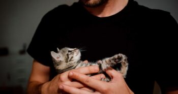 Study Shows Women Don’t Want To Date Men With Cats