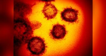 Chinese expert cites unverified study to say coronavirus originated in Spain – THE WEEK