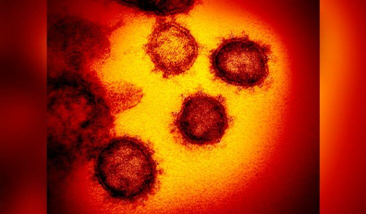 Chinese expert cites unverified study to say coronavirus originated in Spain – THE WEEK
