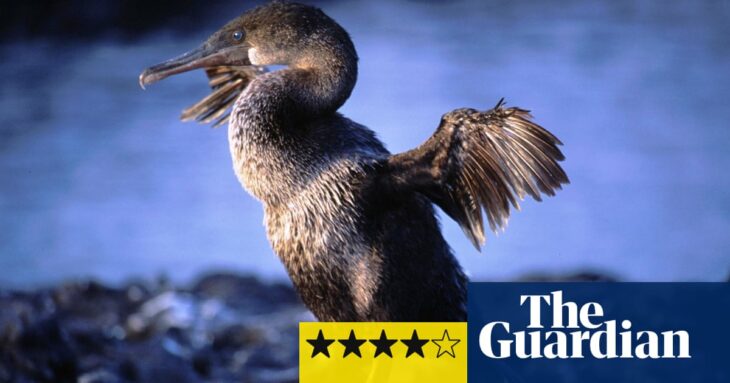 Equator review – a big new beast in the nature TV world