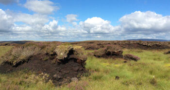 A regime shift from erosion to carbon accumulation in a temperate northern peatland