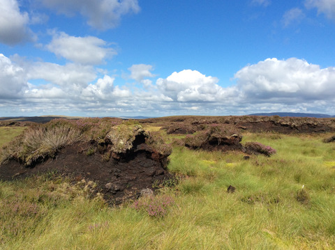 A regime shift from erosion to carbon accumulation in a temperate northern peatland