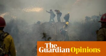 What turned California forests into a tinderbox? Fire suppression, paradoxically | Valerie Trouet