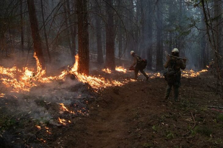Crews battle wildfires in U.S. West as smoke travels the world – Reuters UK