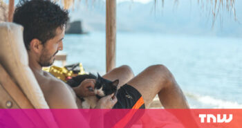 Scientists confirm holding a cat in your dating app profile won’t get you a date